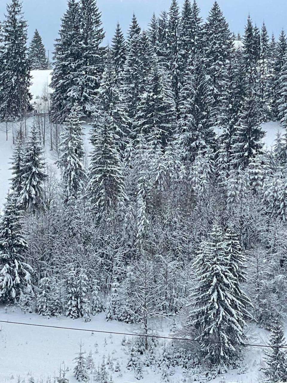 Kazka Aparthotel Jablunytsja Exteriör bild