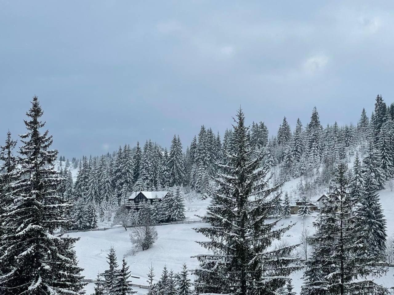 Kazka Aparthotel Jablunytsja Exteriör bild